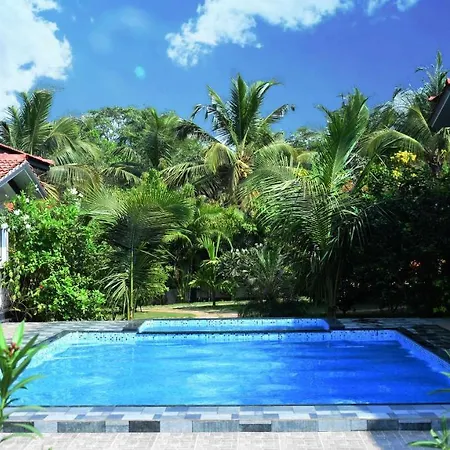Vagator Retreat Resort With Swimming Pool